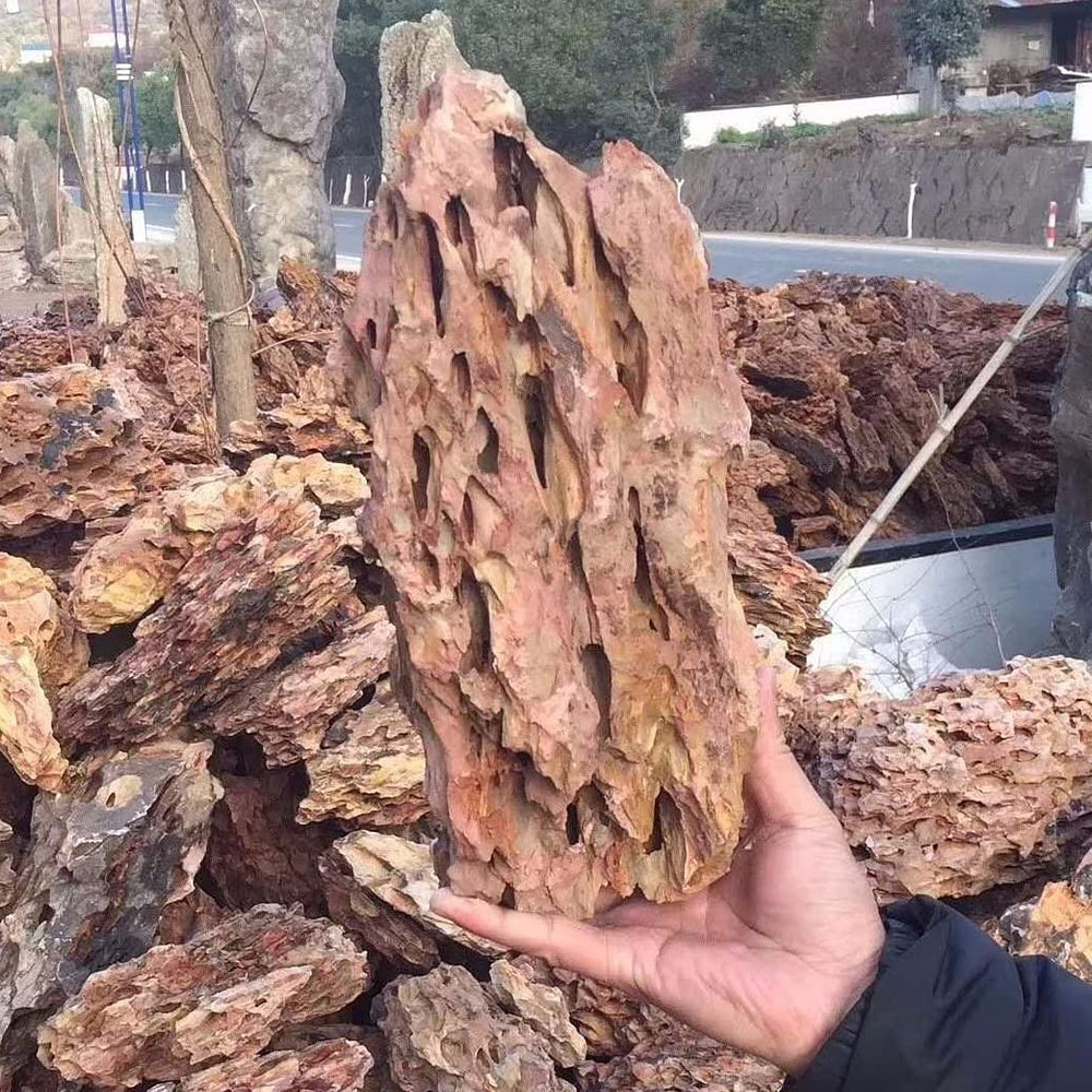 AWXZOM rocas decorativas dragon natural para acuario, aportan naturalidad y estructura al diseño.