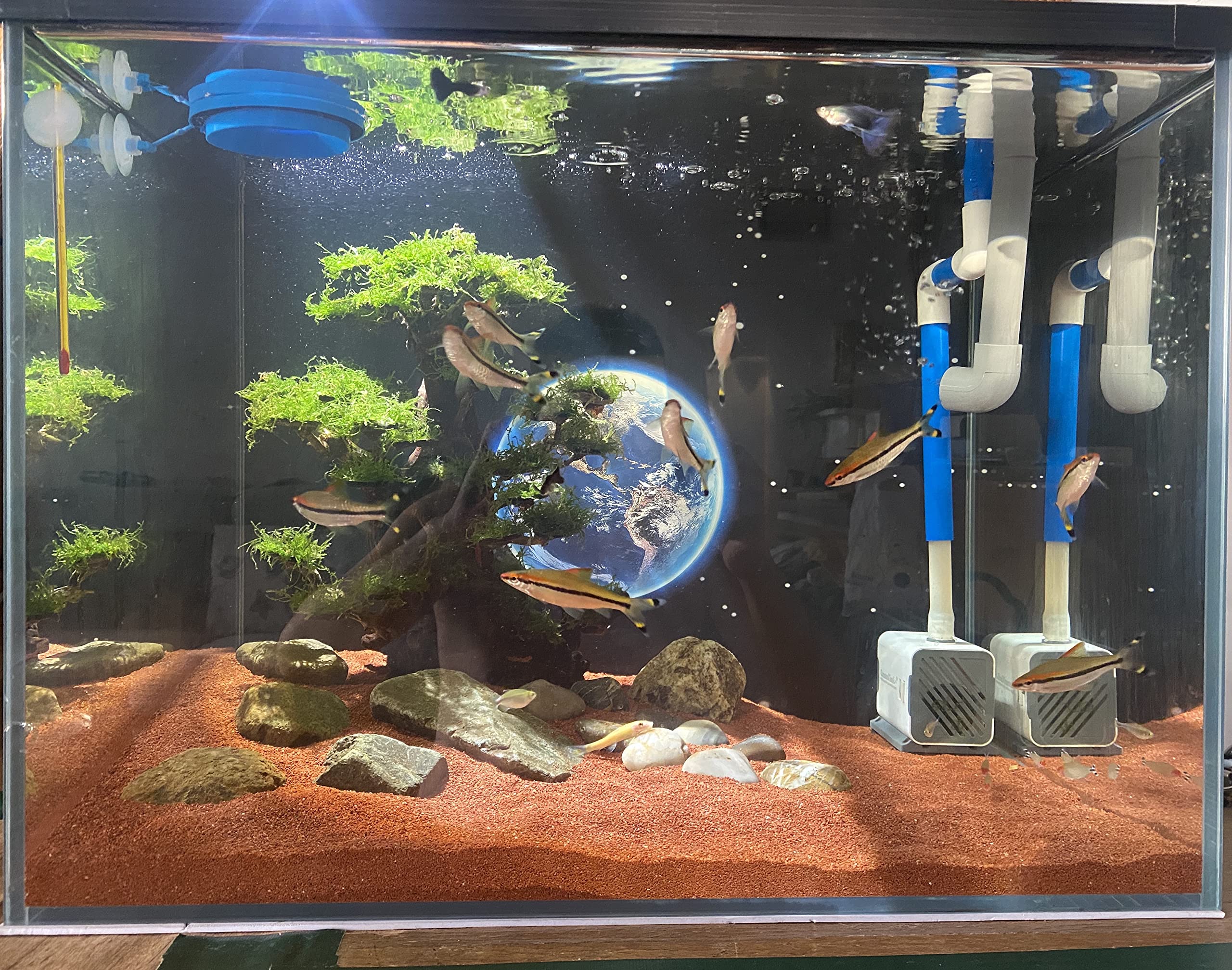 AWXZOM suelo natural para acuario, compatible con agua dulce y salada.