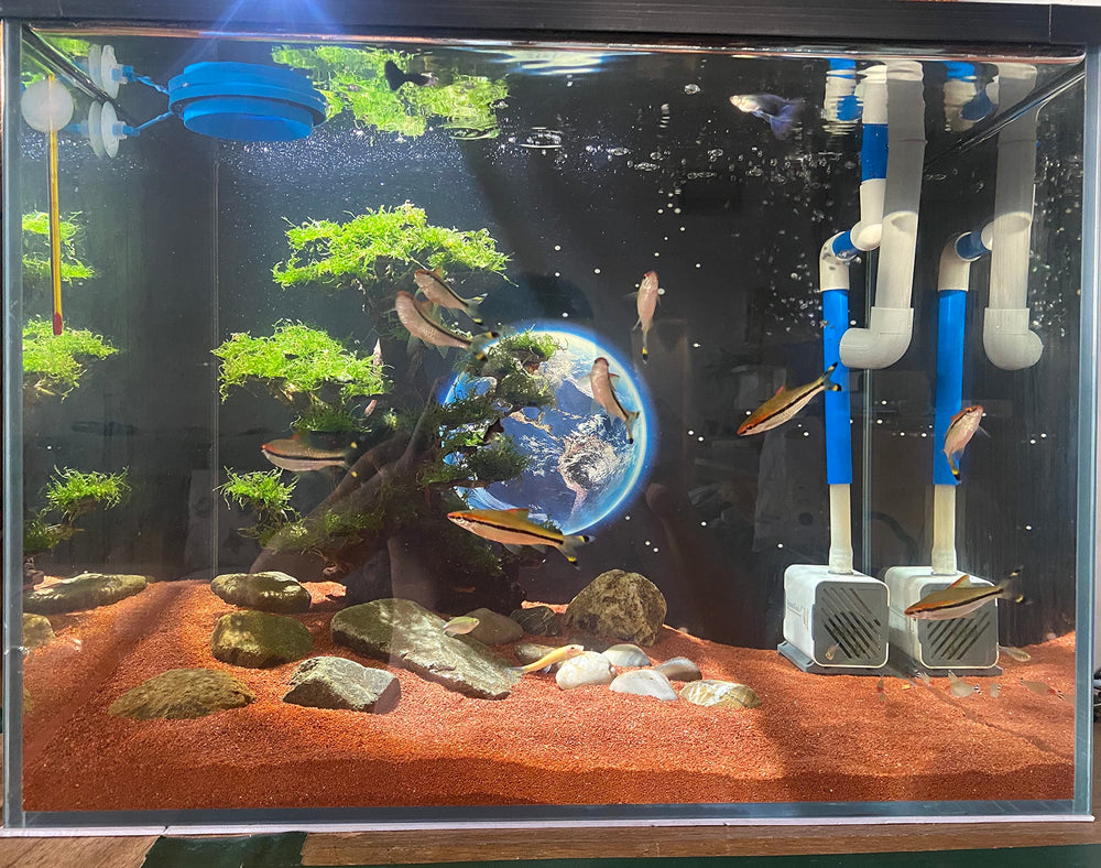 AWXZOM suelo natural para acuario, compatible con agua dulce y salada.