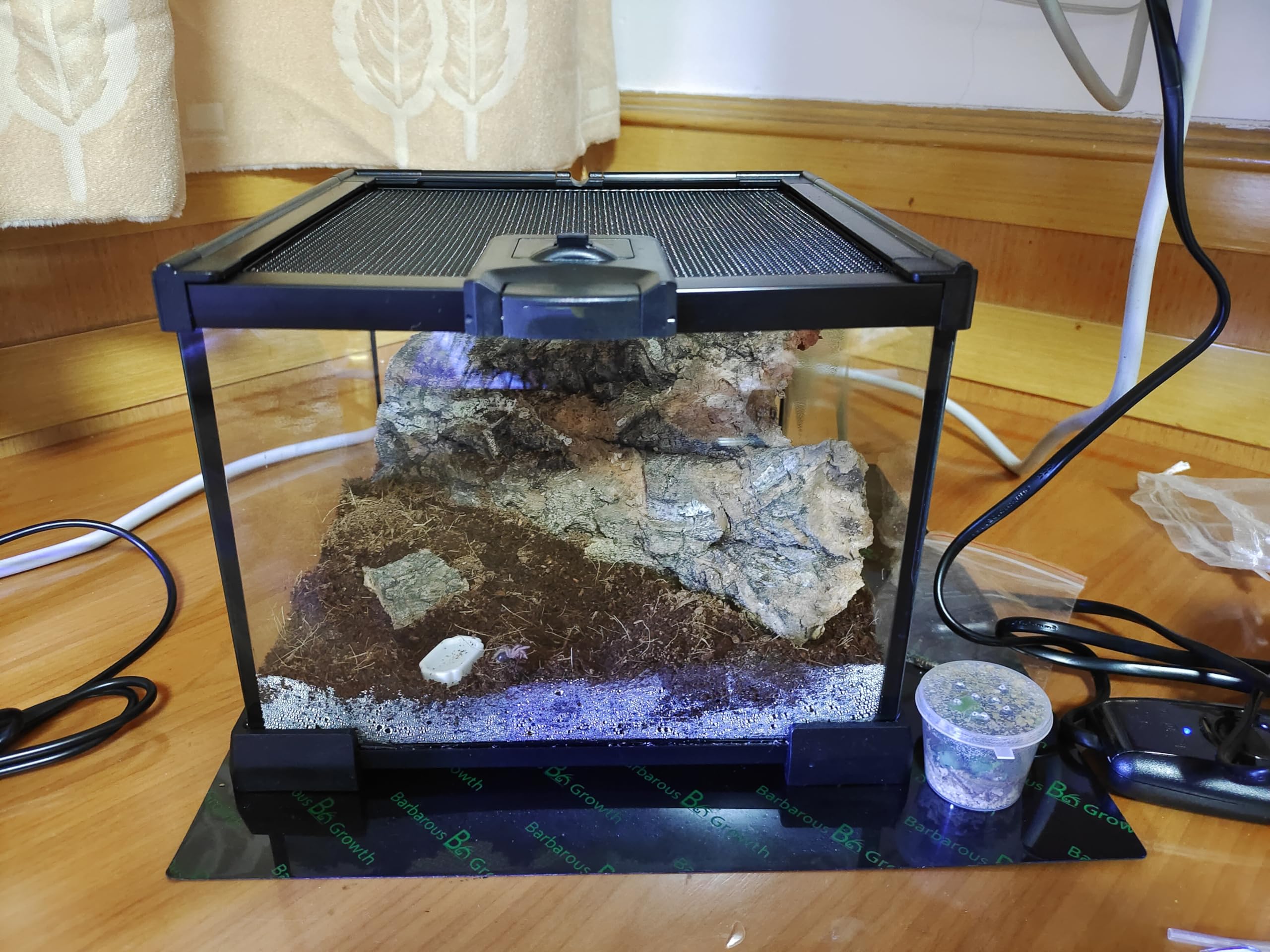 AWXZOM Terrario mini 7.9x7.9x5.7 pulgadas para pequeños reptiles