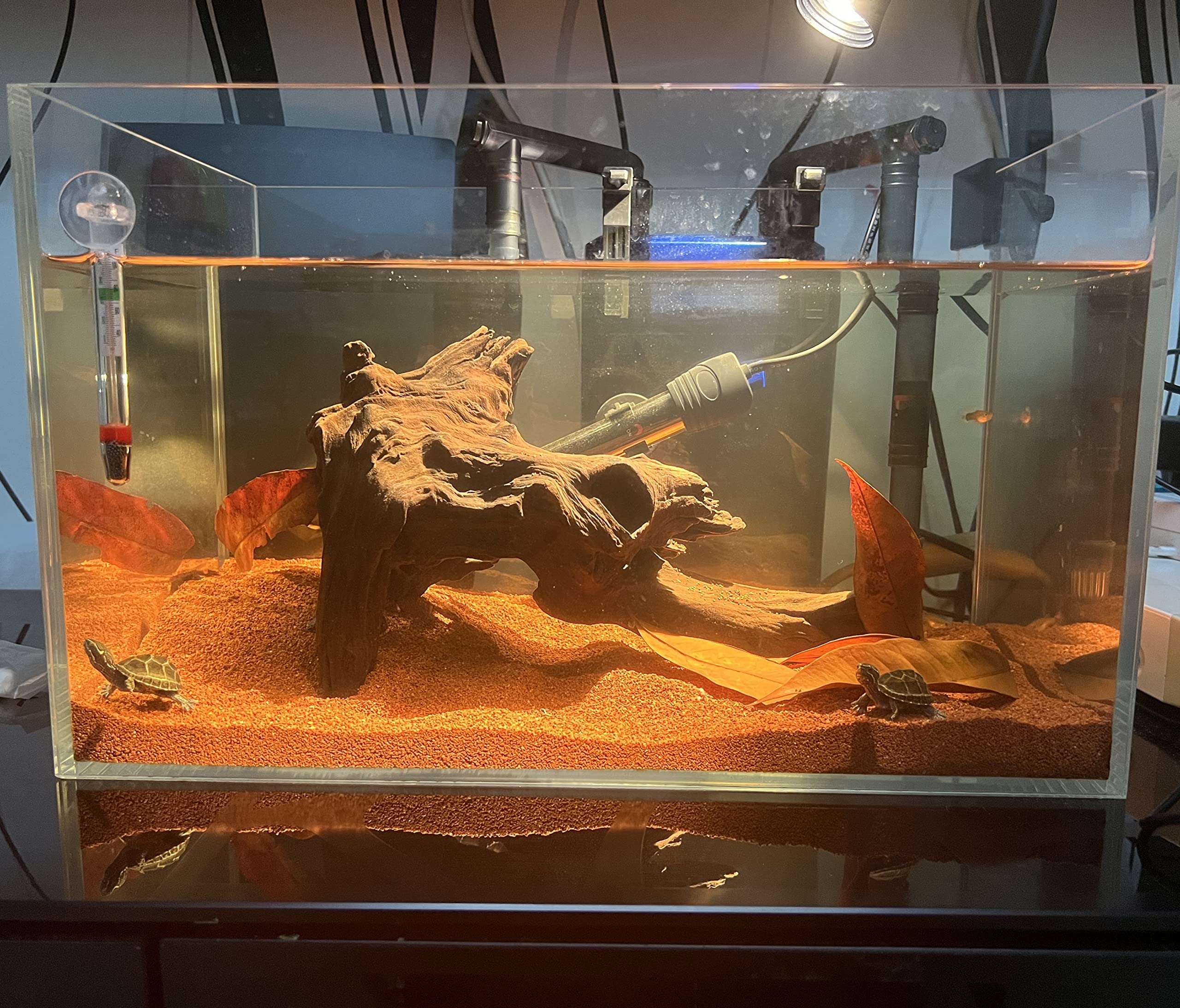 AWXZOM uso multiusos, ideal para acuario y paisajismo de terrarios.