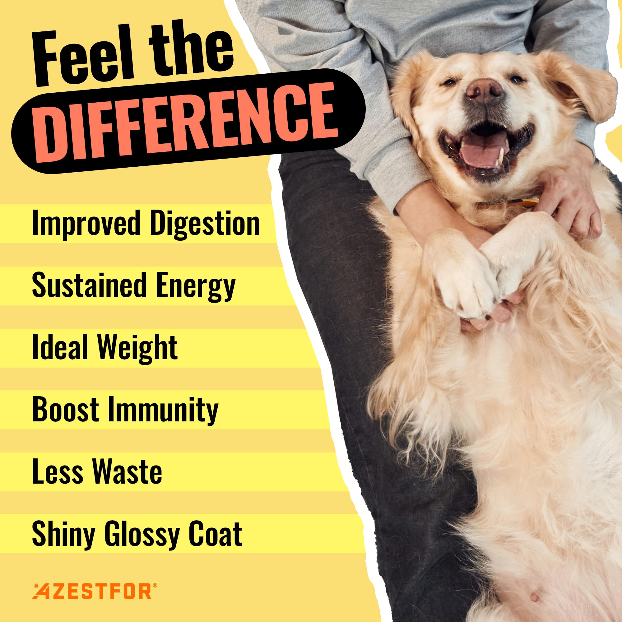 Recetas caseras para perros con Azestfor, fáciles y sabrosas.