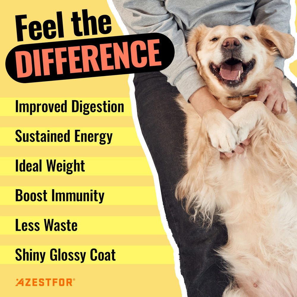 Recetas caseras para perros con Azestfor, fáciles y sabrosas.