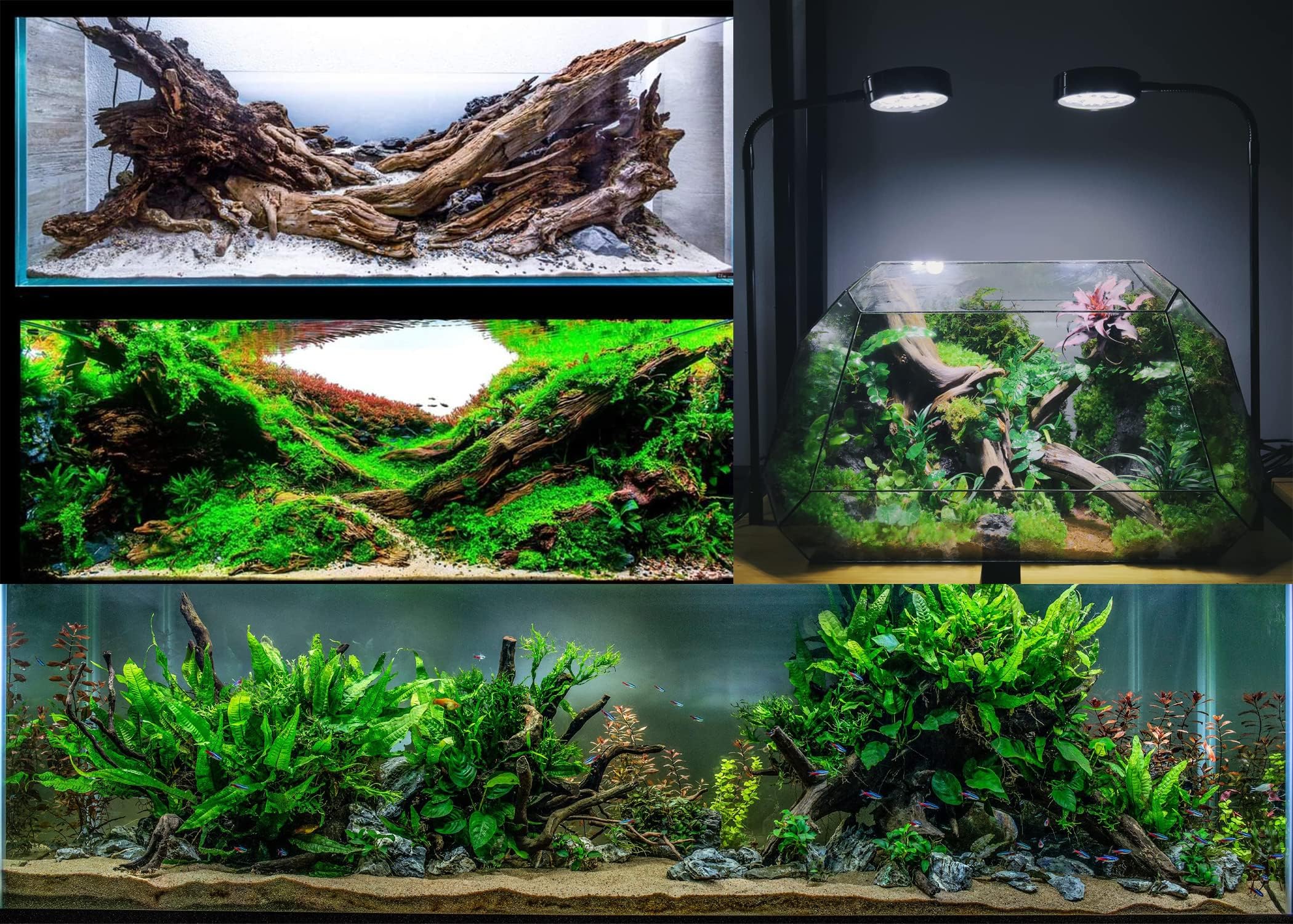 Azil Madera Flotante Natural, hábitat natural para peces y plantas.