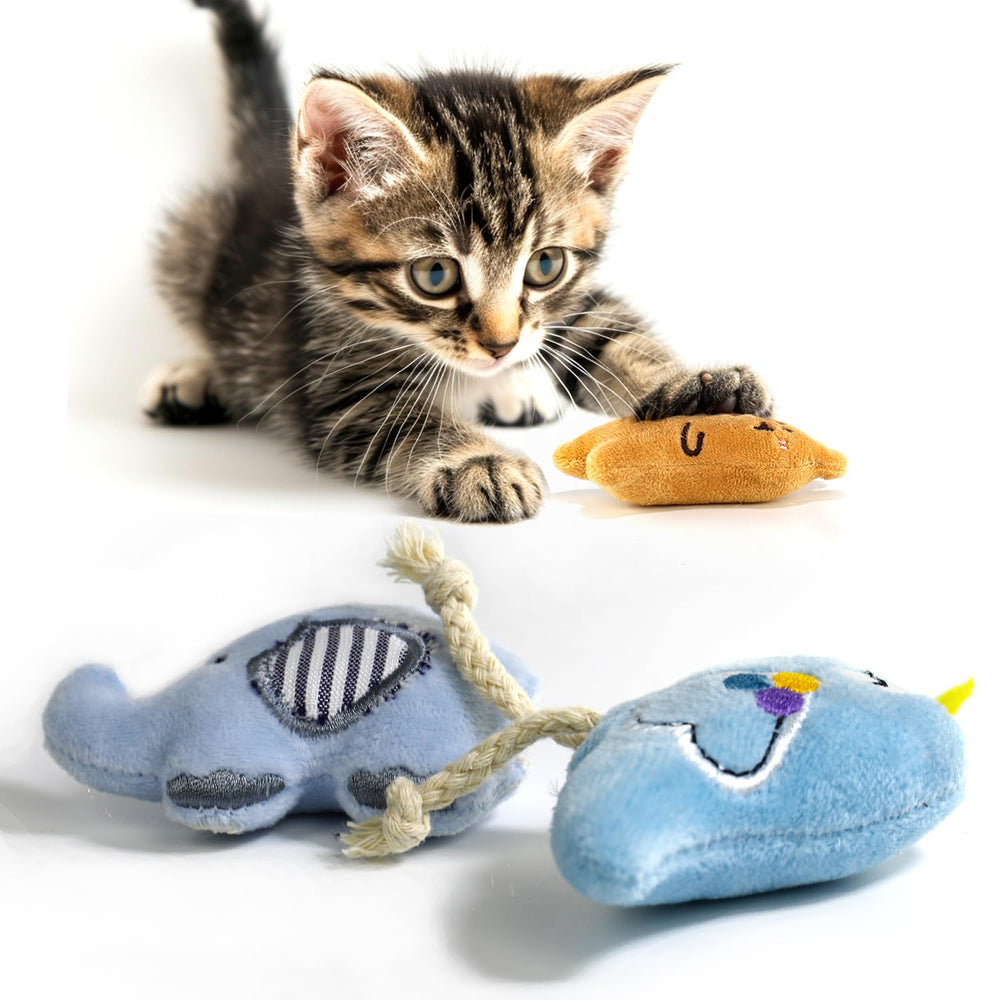 AZOFFYIU Paquete de seis juguetes para gatos, ideal para interior