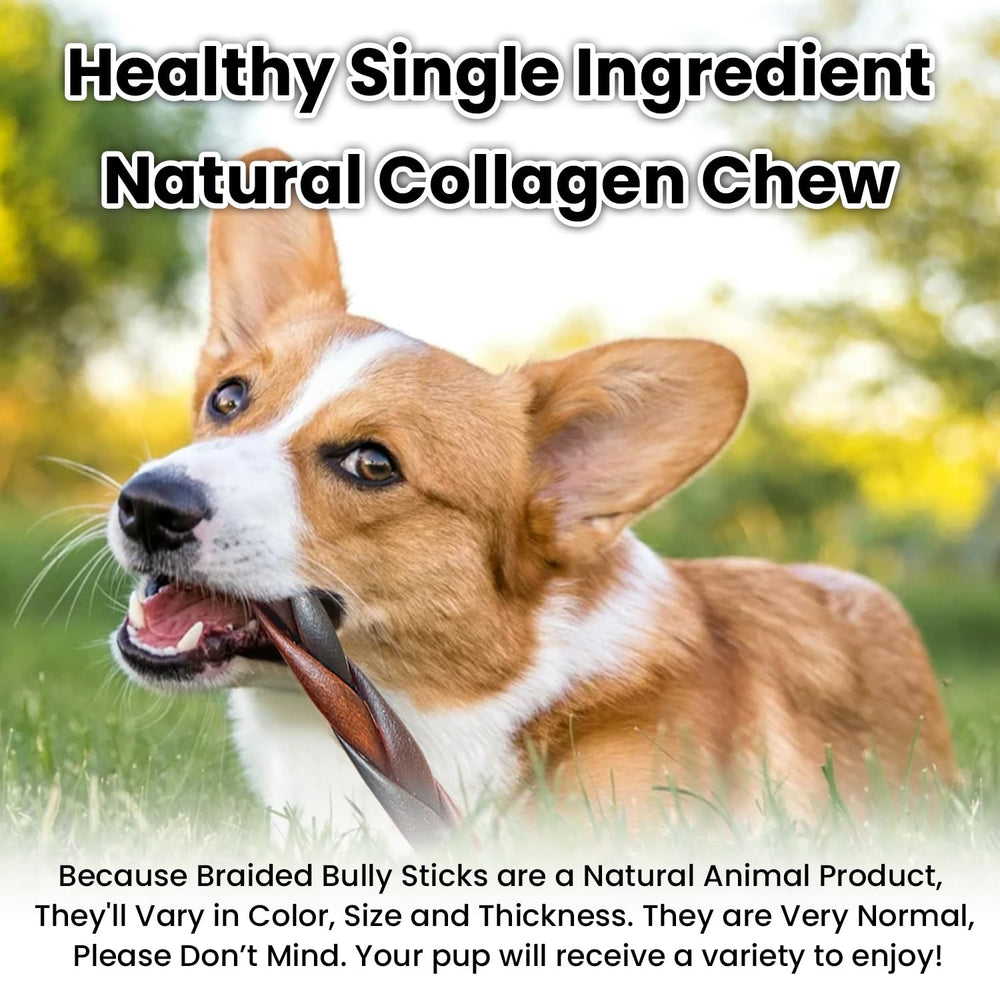 AZRAPAWS masticables con colágeno pueden apoyar la higiene oral al masticar