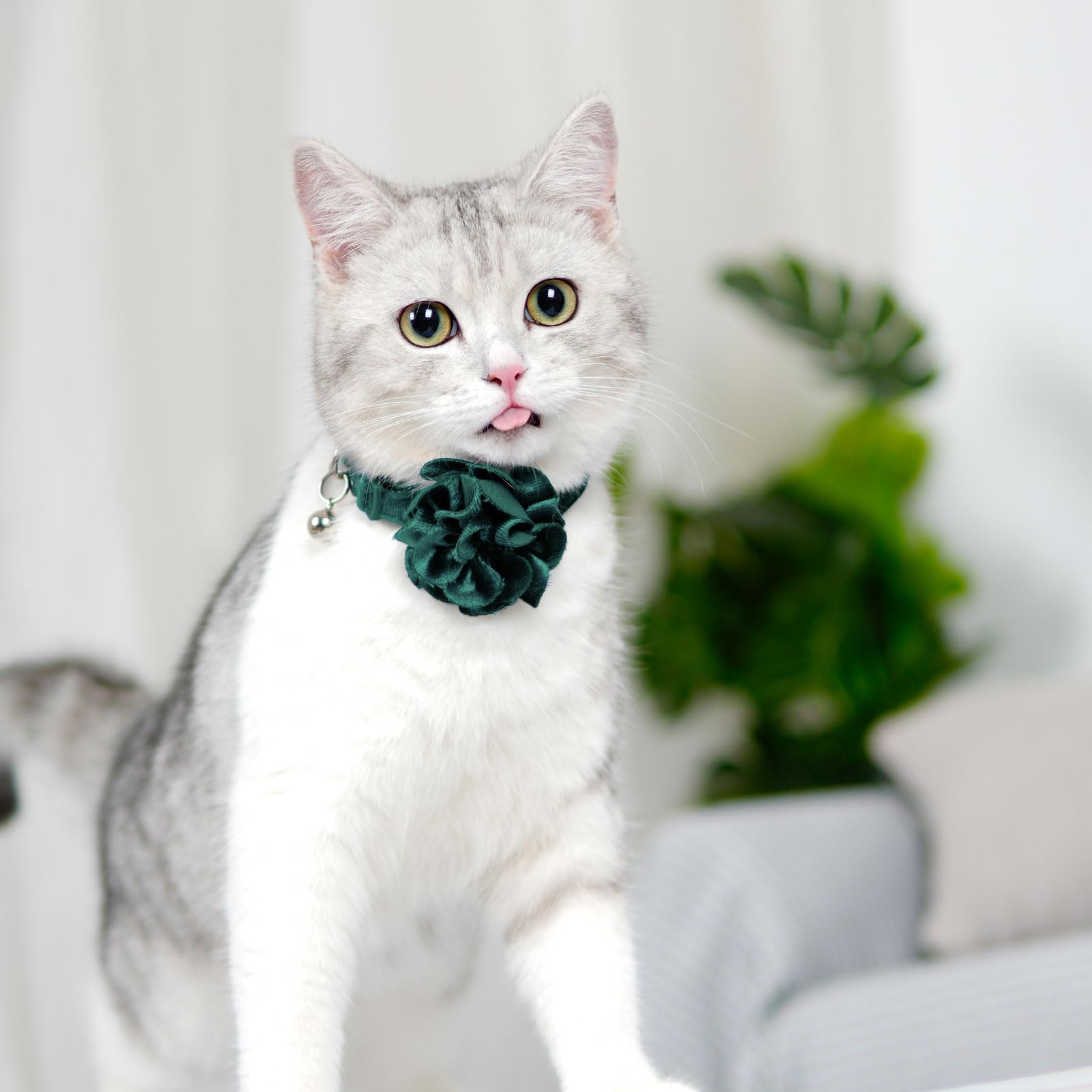 azuza collar gato con broche rompible, seguro y fácil de soltar.