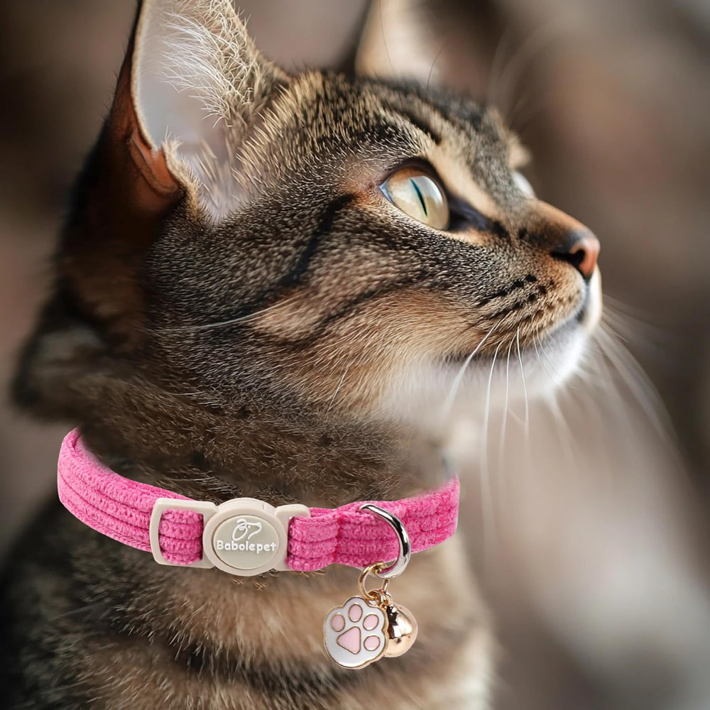 Babole Pet collar corduroy interior suave para cuellos delicados.