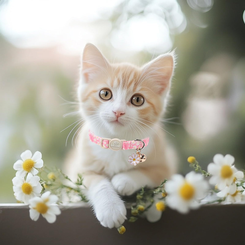 Babole Pet collar gato ajuste perfecto rosa, cómodo para gatitos en crecimiento.