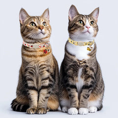 Collar Babole Pet con diseño mariquita para gatos, ajuste cómodo.