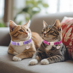 Collar Babole Pet de pana lavanda con cascabel, estilo y señal auditiva.