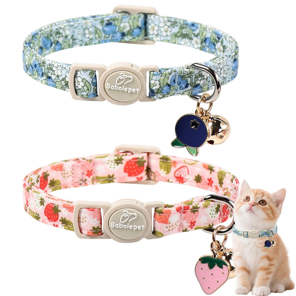 Babole Pet collar primavera con hebilla de seguridad, ideal para salidas seguras.