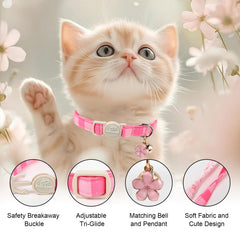 Pack de dos collares Babole Pet rosas, ajuste para gatitas en crecimiento