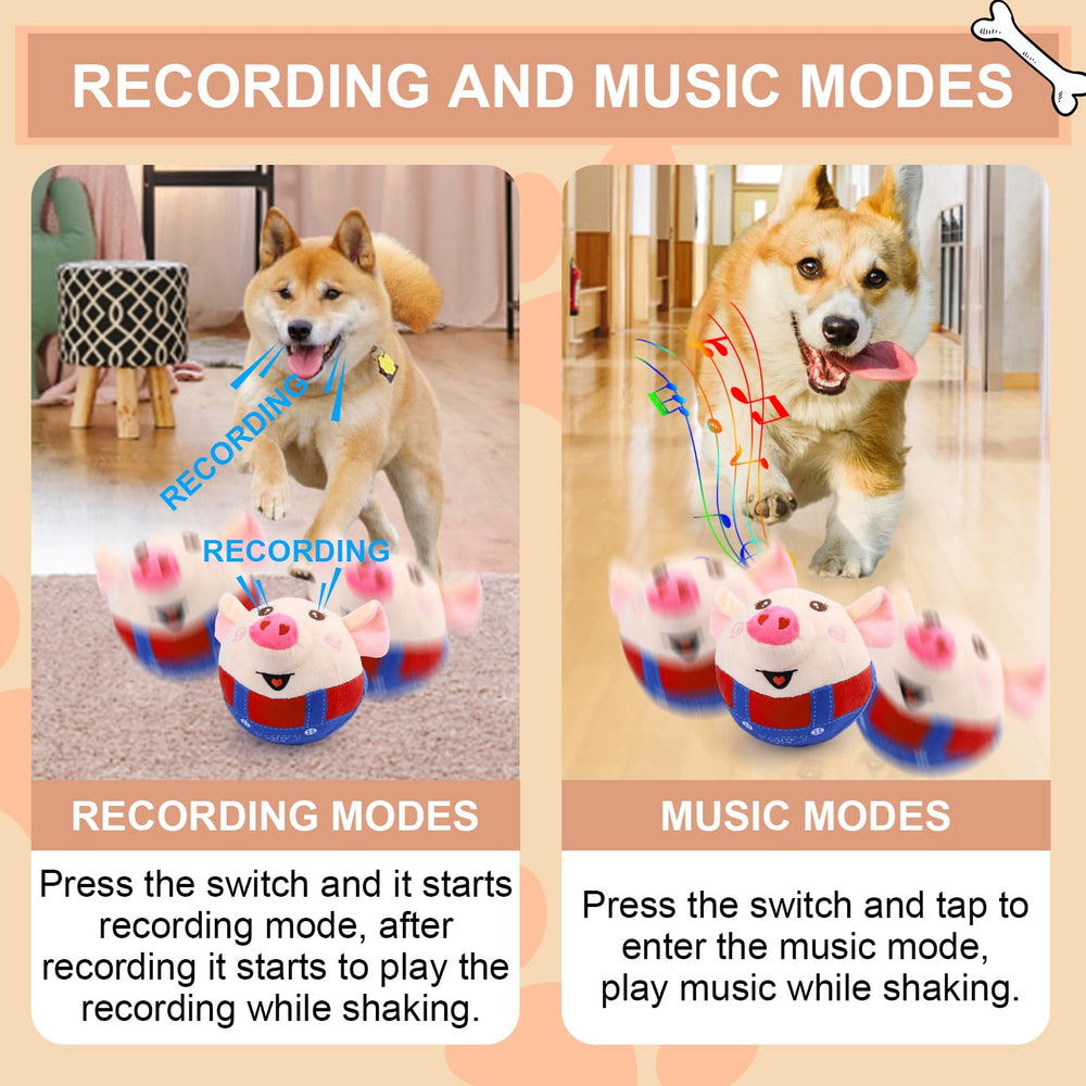babouri cerdo interactivo musical: modo grabación para sesiones de entrenamiento y diversión