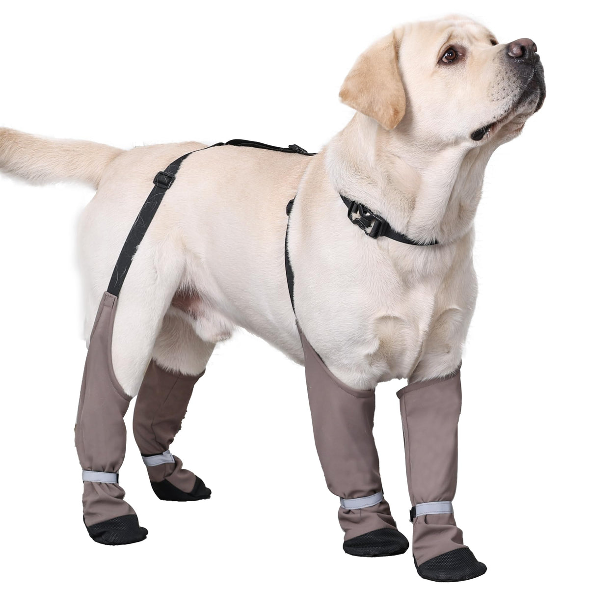 Botas BabyFoxy invernales para patas, manteniendo las patitas secas durante paseos.