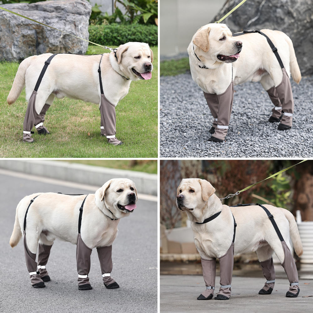 Protección contra lluvia, sal y barro para las patitas de tu perro.