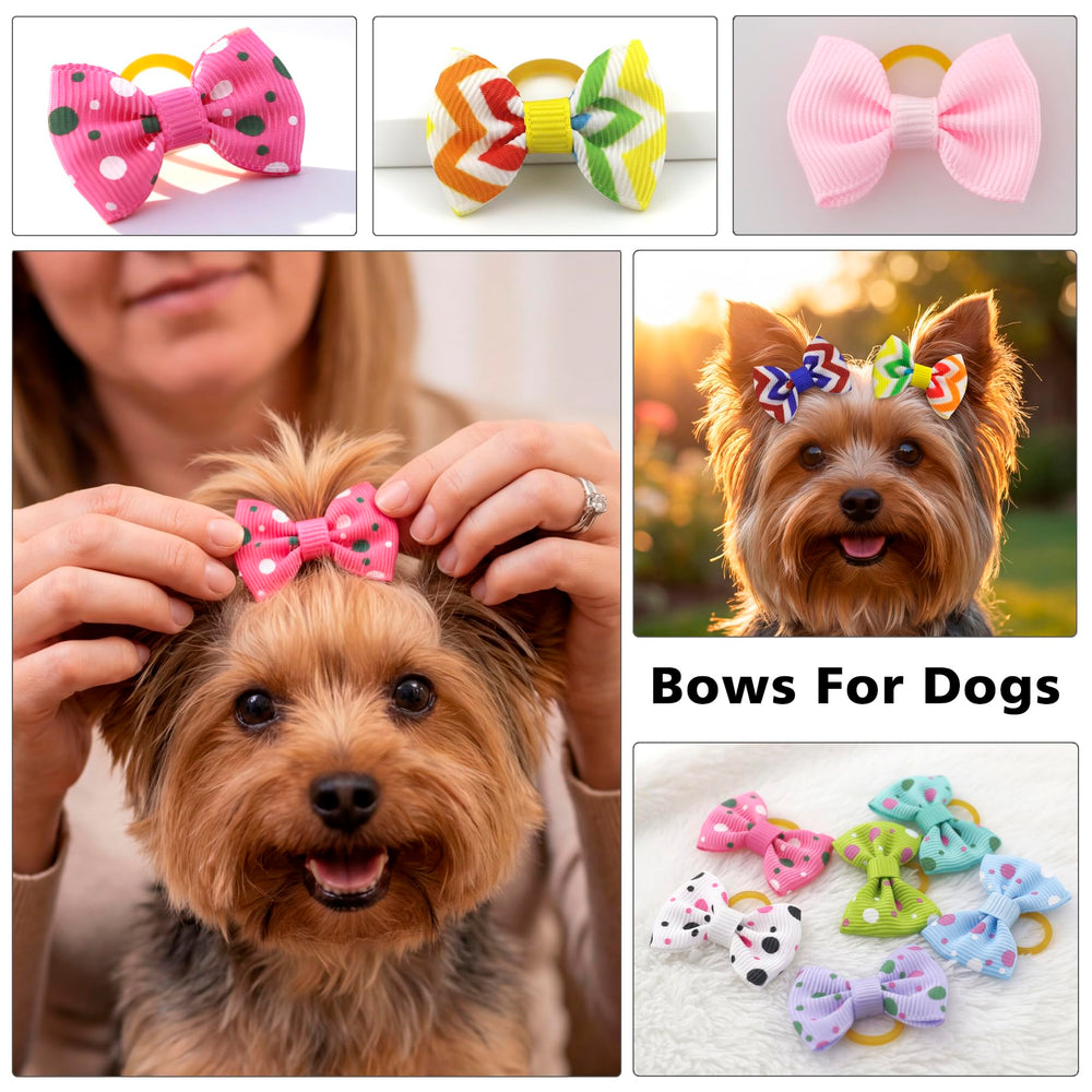Babymatch: accesorios coloridos para peinar perros pequeños