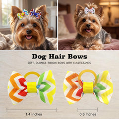 Babymatch: lazos para pelo con colores vibrantes para perros pequeños