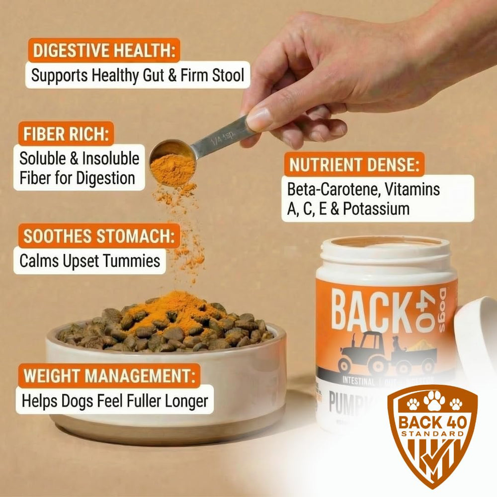 Back 40 Dogs polvo de calabaza para perros, dosificador fácil para porciones diarias.
