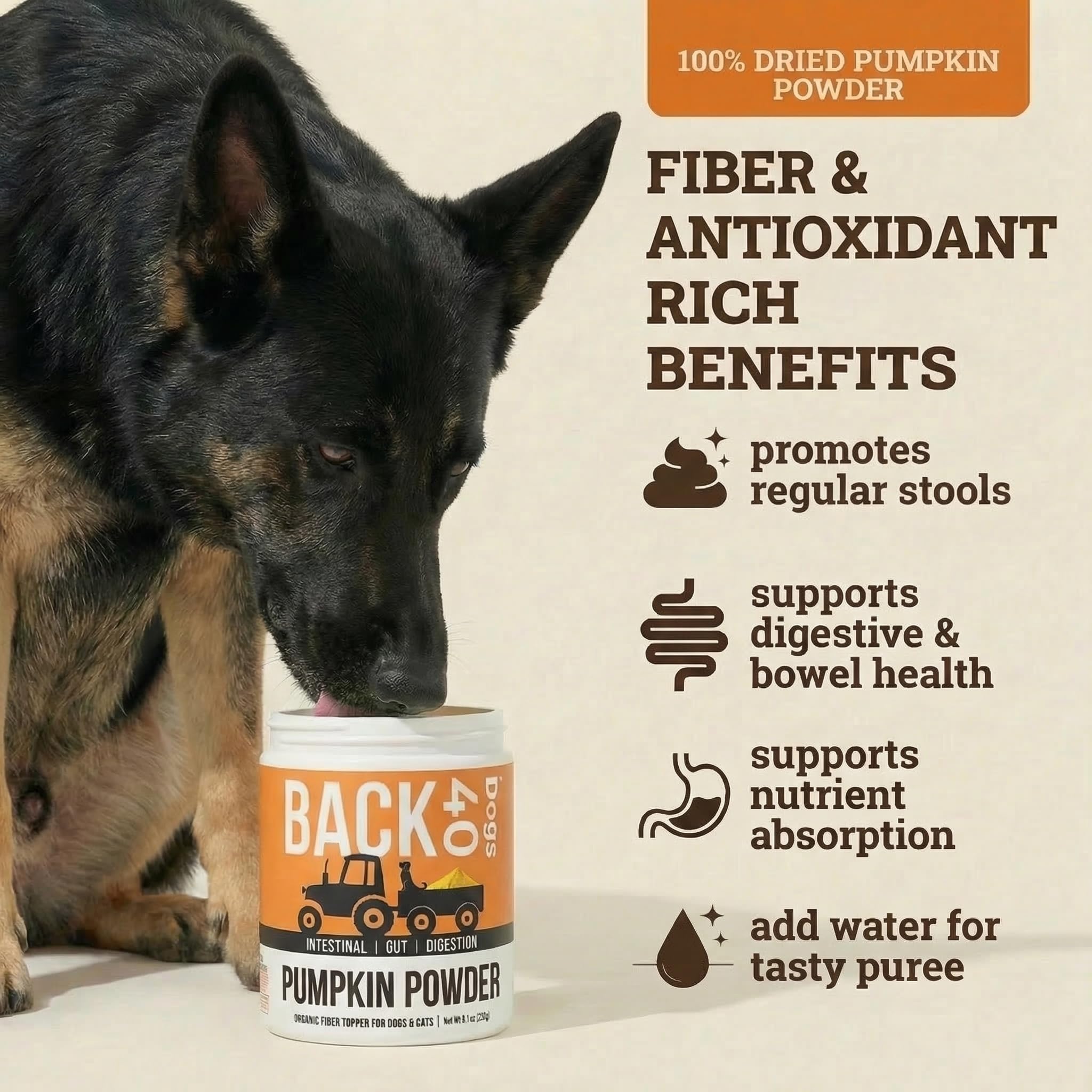 Back 40 Dogs polvo de calabaza para perros, topping sabroso que apoya la digestión.
