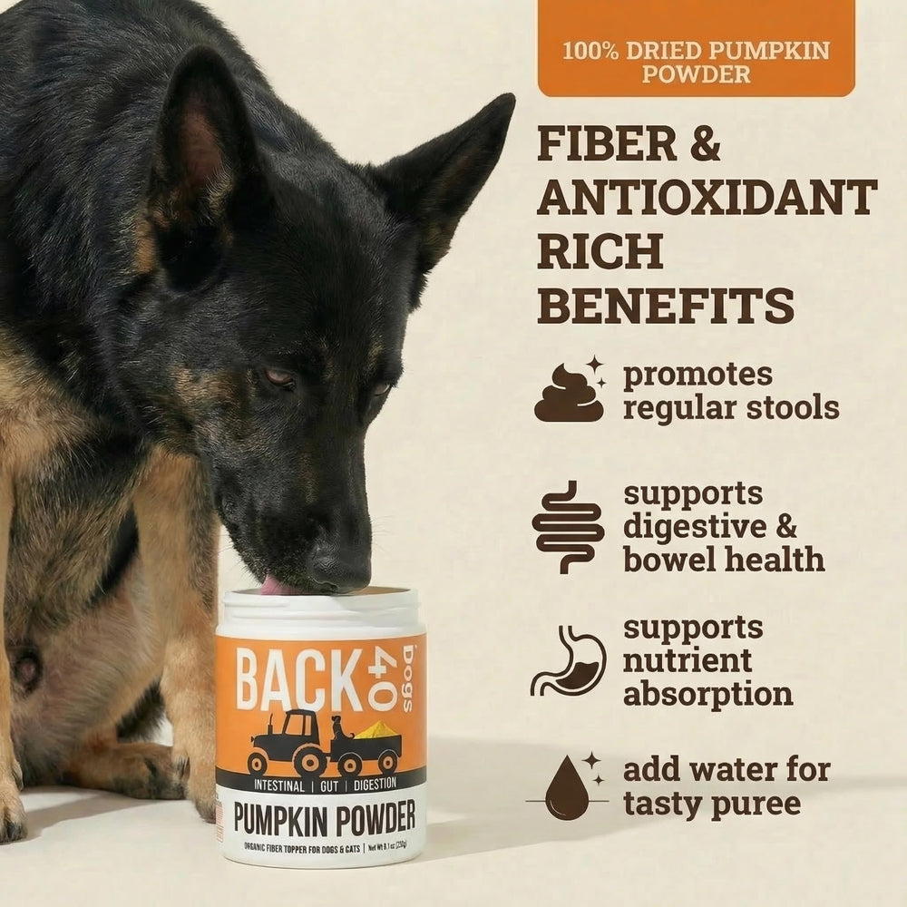 Back 40 Dogs polvo de calabaza para perros, topping sabroso que apoya la digestión.