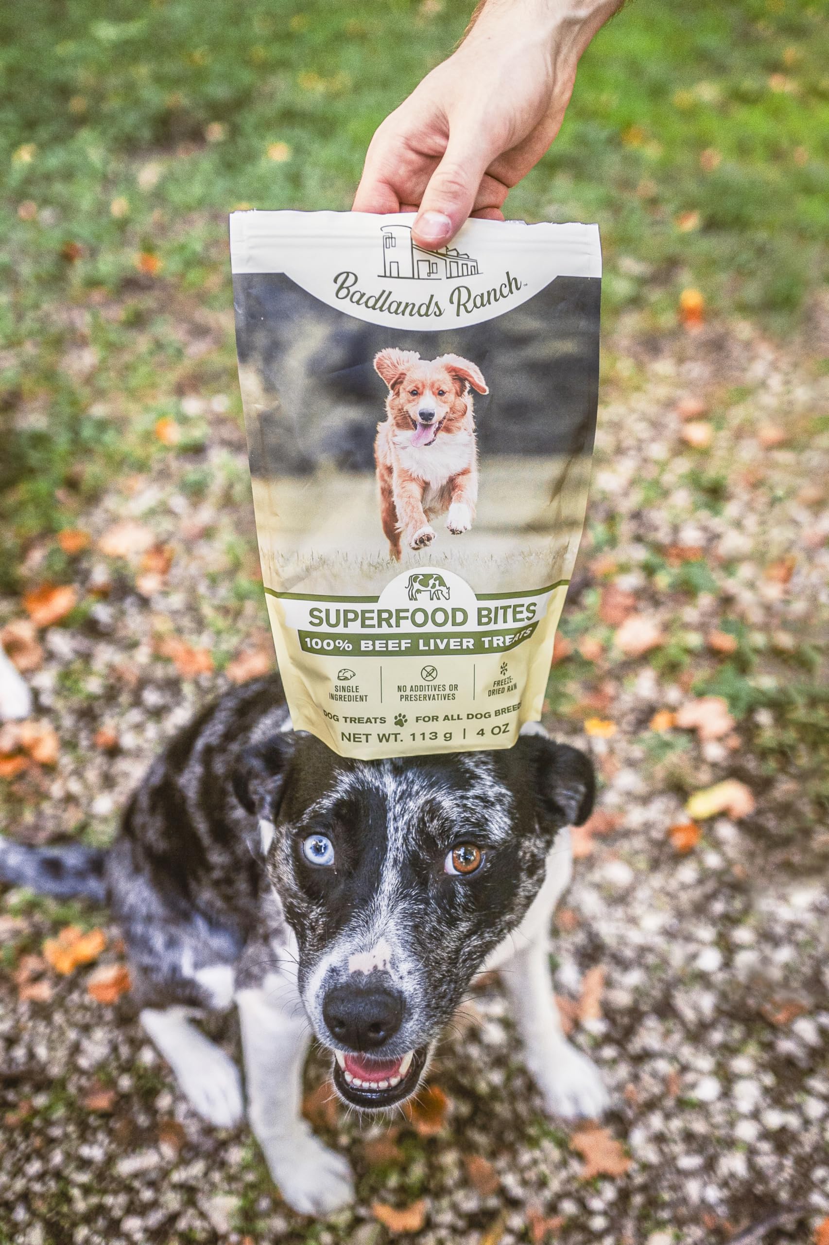 BADLANDS RANCH producto de EE. UU. con proteína de calidad para perros.