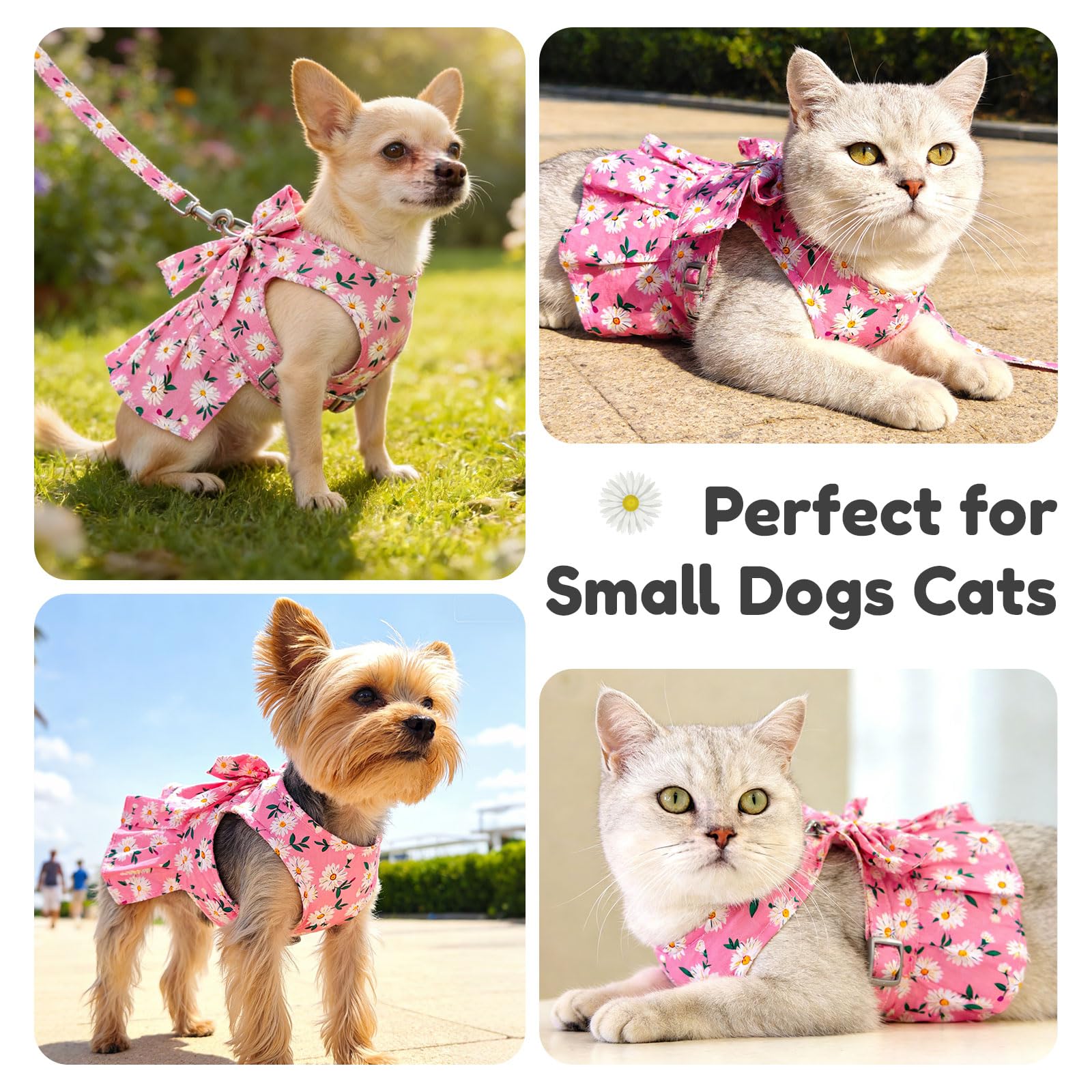 baejmjk Uso diario, paseos con estilo de princesa para mascotas.