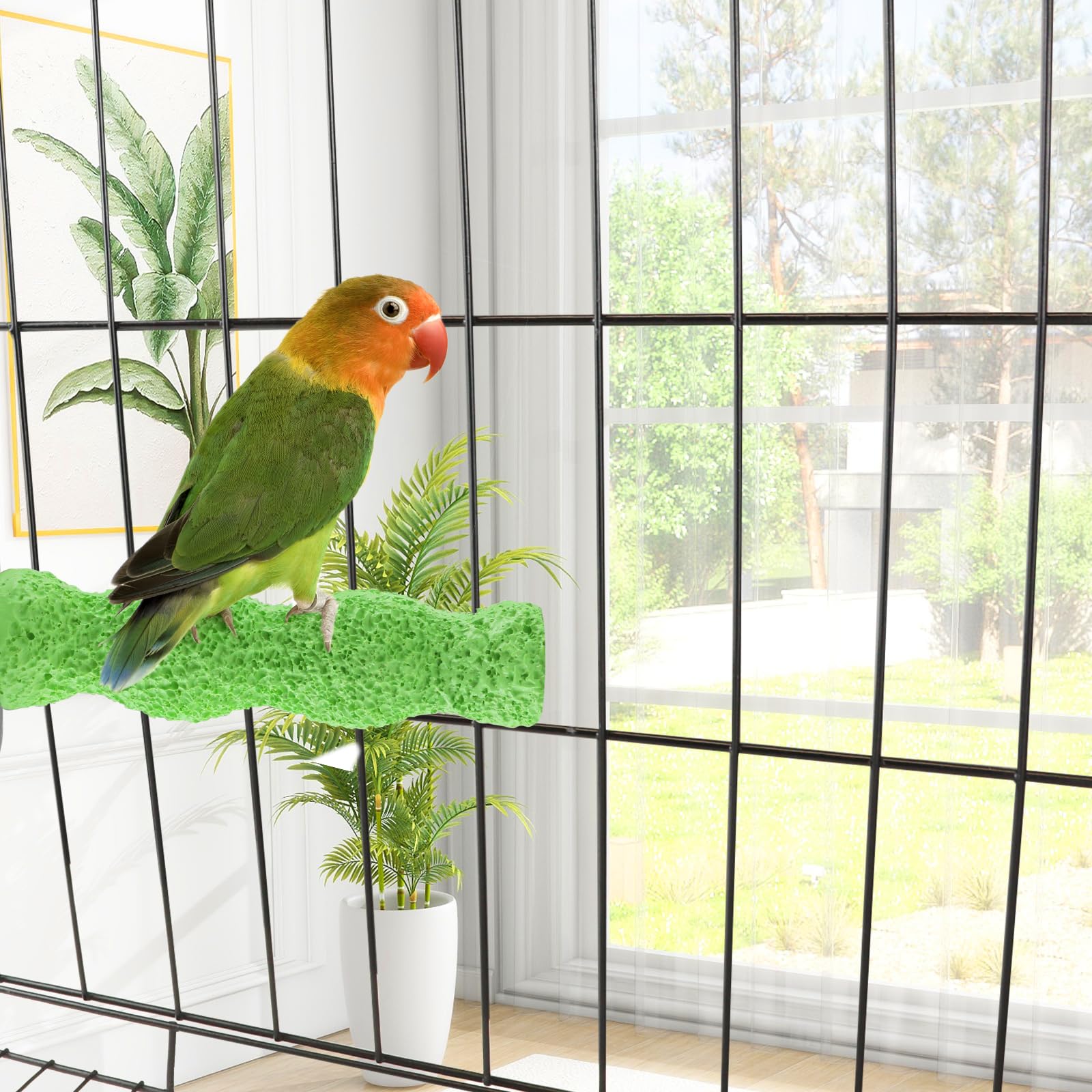 Baeruuss ideal para aves pequeñas como periquitos