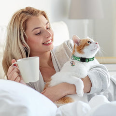 Collar Baeuppit para gato brilla en oscuridad, ideal para paseos nocturnos.
