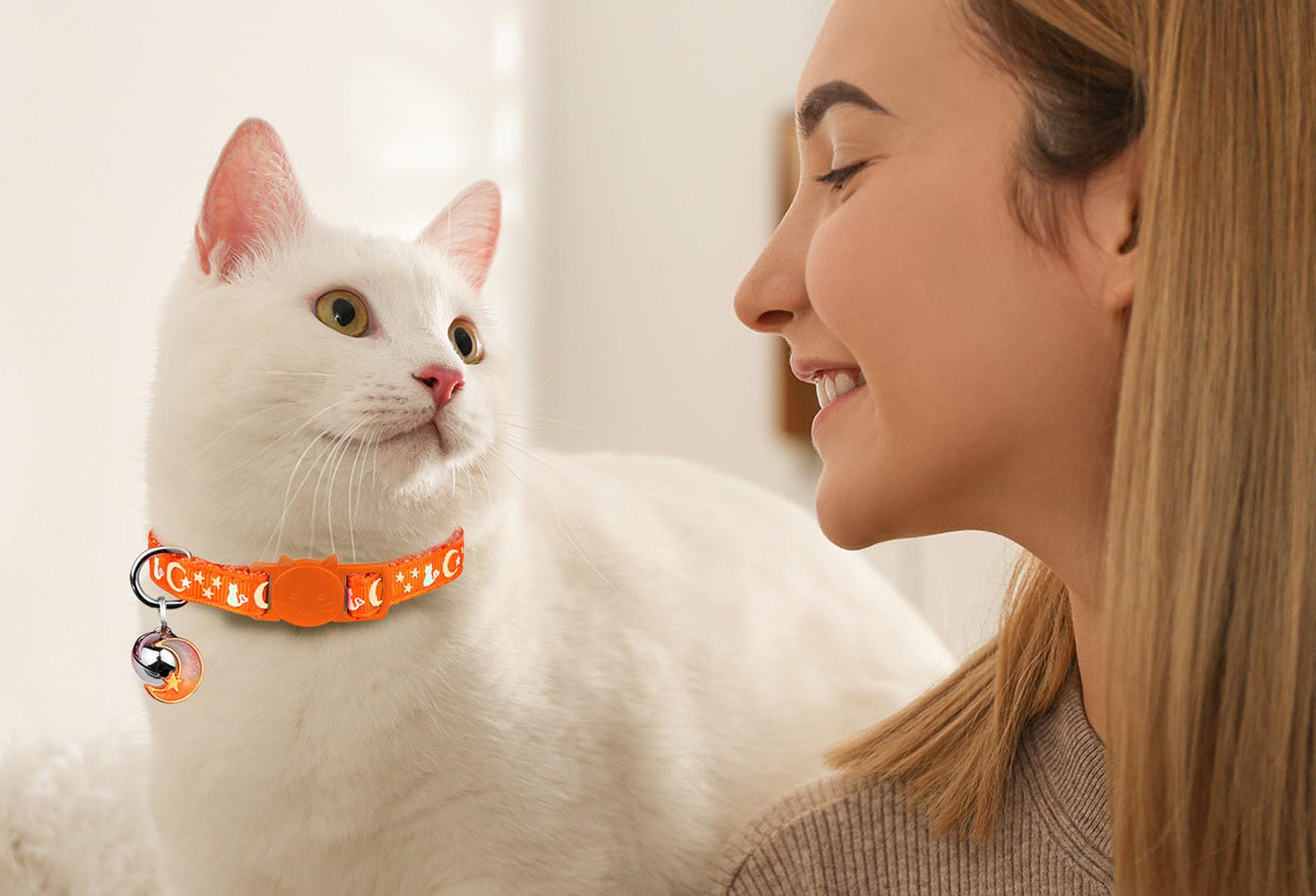 Variedad de colores vivos para combinar con el estilo de tu gato