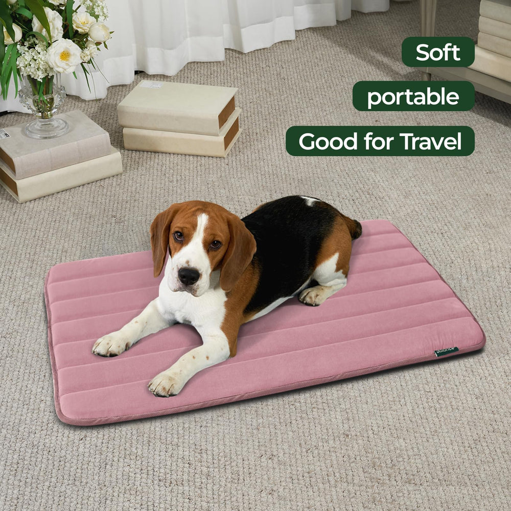 La BALANCE cama para perro con base antideslizante mejora la seguridad diaria.