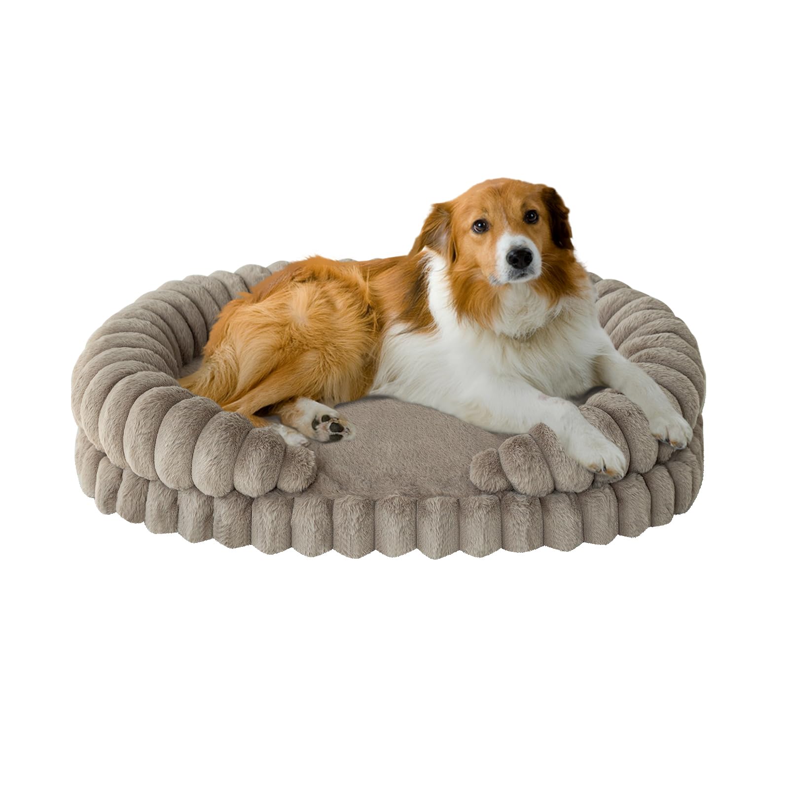 BALANCE cama para perro calmante, vista frontal de cama oval de 36 pulgadas para dormir mejor.