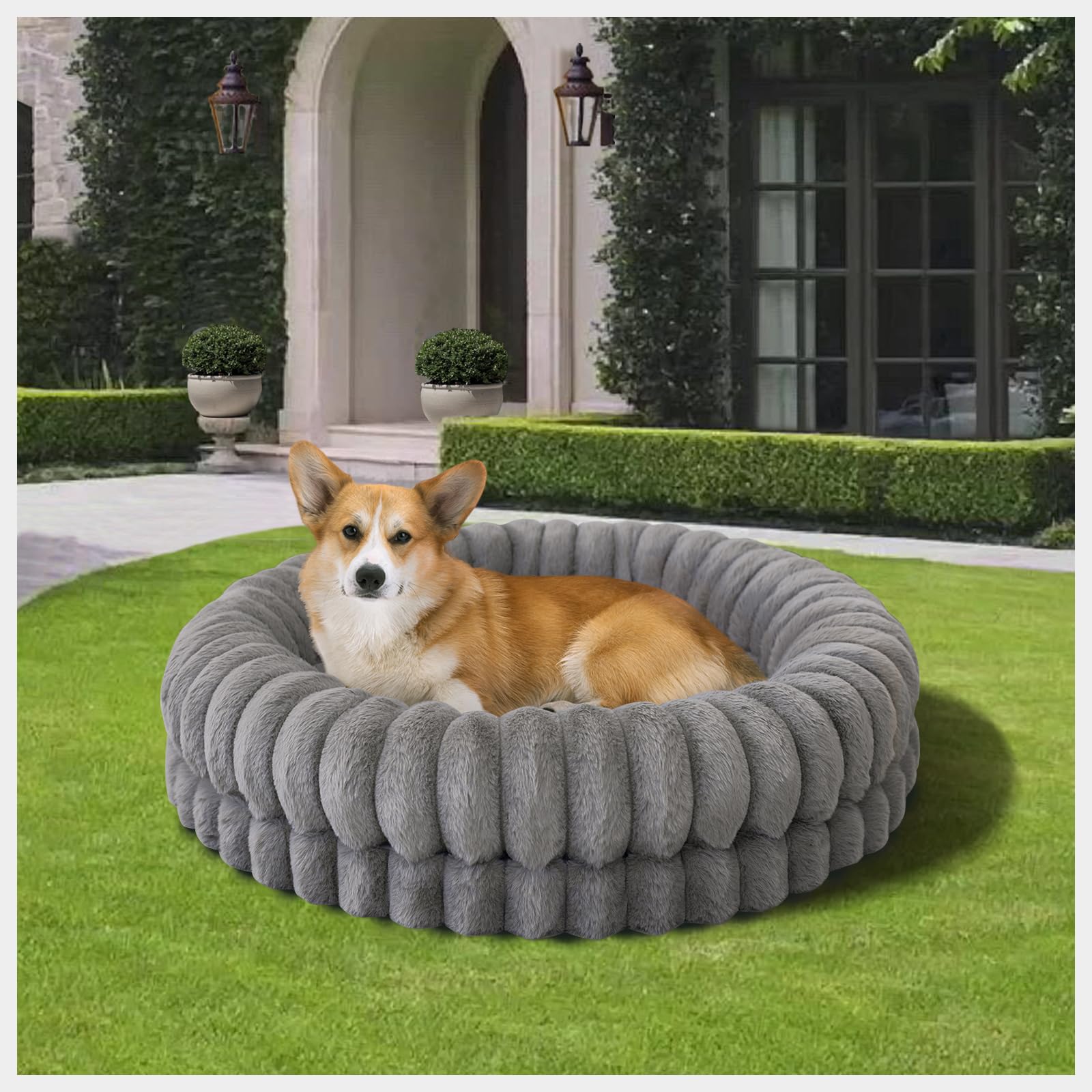 BALANCE cama-uso-razas-medias-y-gatos: diseño envolvente para dormir con seguridad.