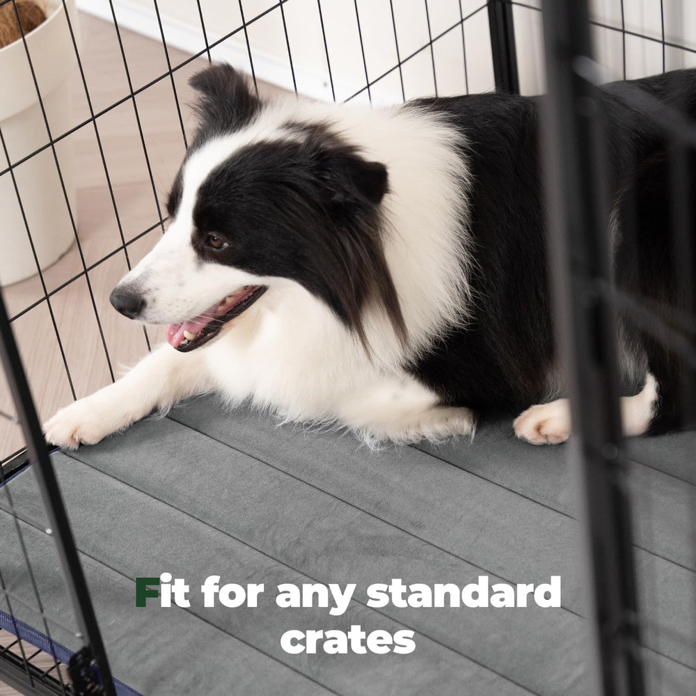 BALANCE Dog Crate Pad, lavado a máquina para una limpieza rápida y sencilla.
