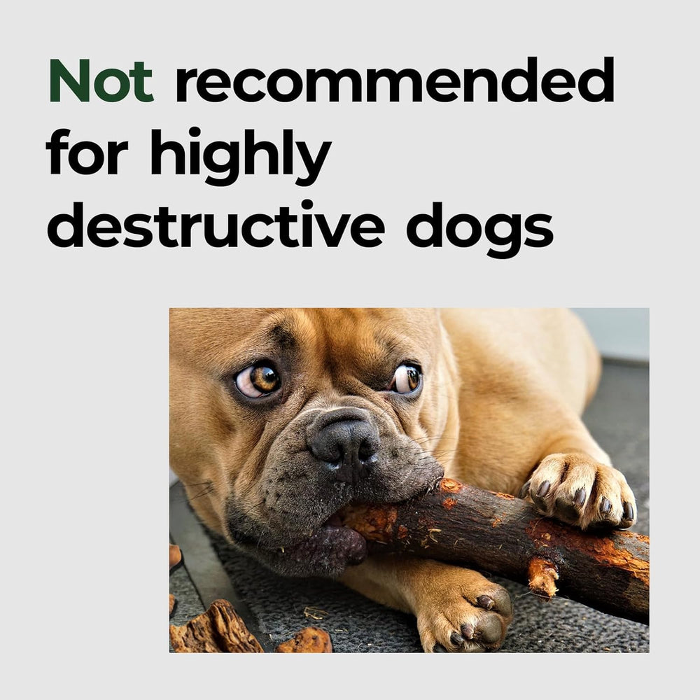 Cama BALANCE Oxford para perros pequeños, uso interior y exterior.