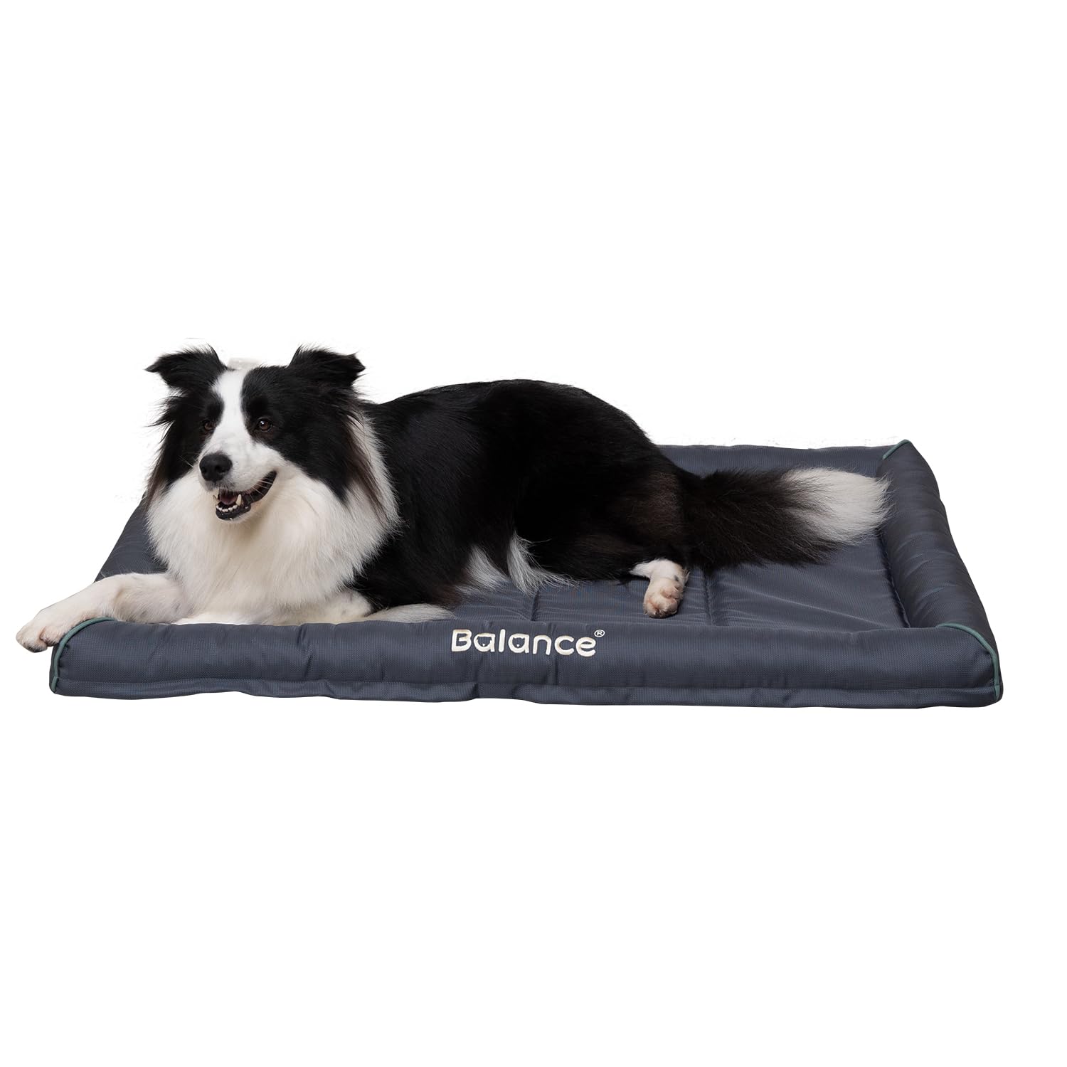 BALANCE Oxford cama-perro-grande, descanso cómodo en jaula.
