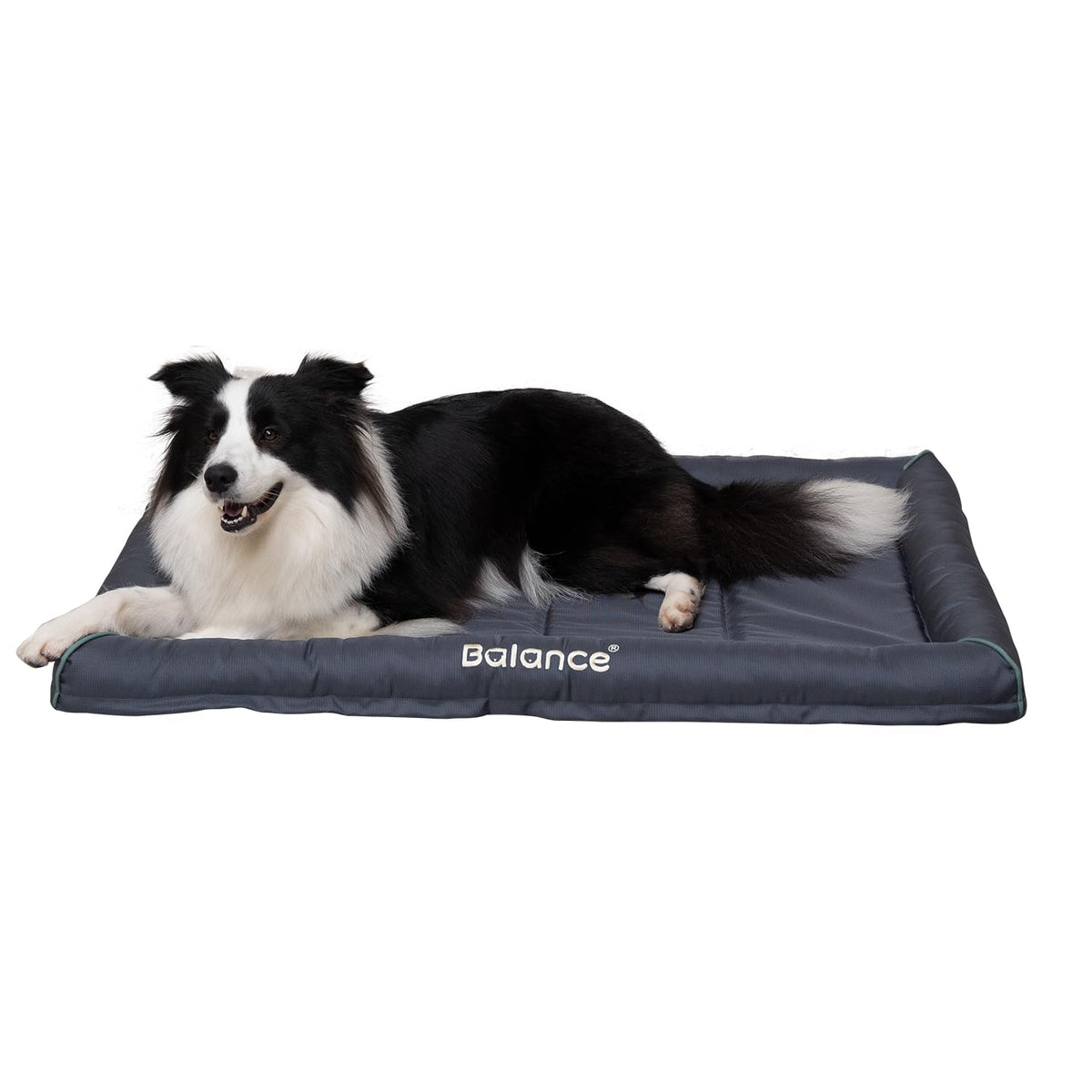 BALANCE Oxford cama-perro-grande, descanso cómodo en jaula.