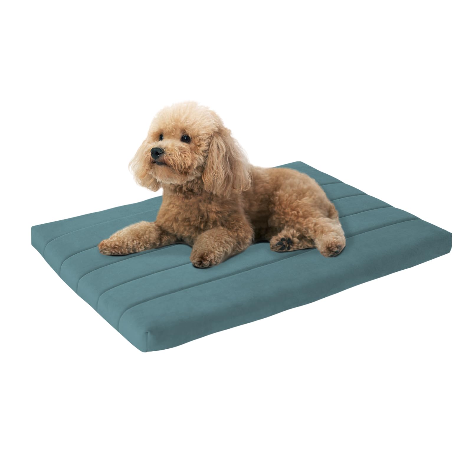 Cama BALANCE para jaula con espuma ortopédica, comodidad para perros.