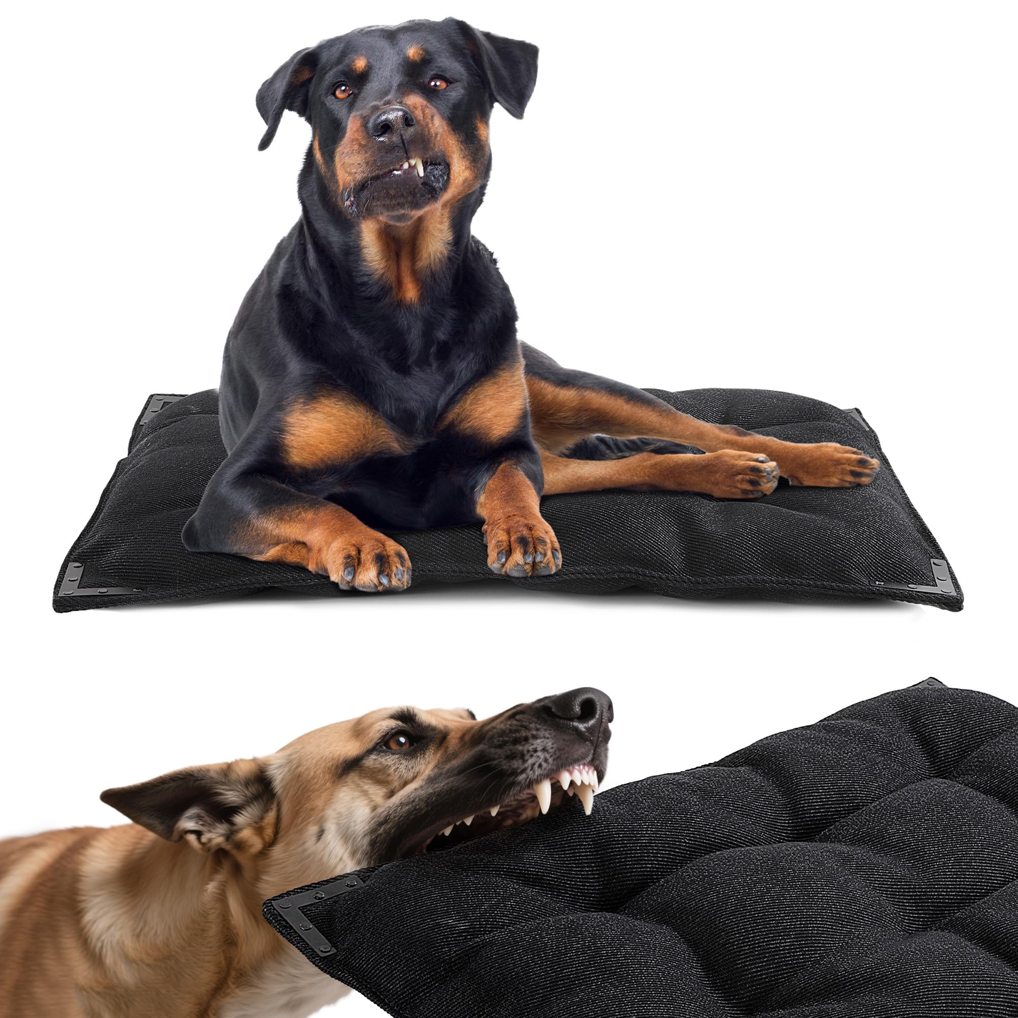 BALAPET cama para perro con borde metálico, protección duradera para mordiscos diarios.