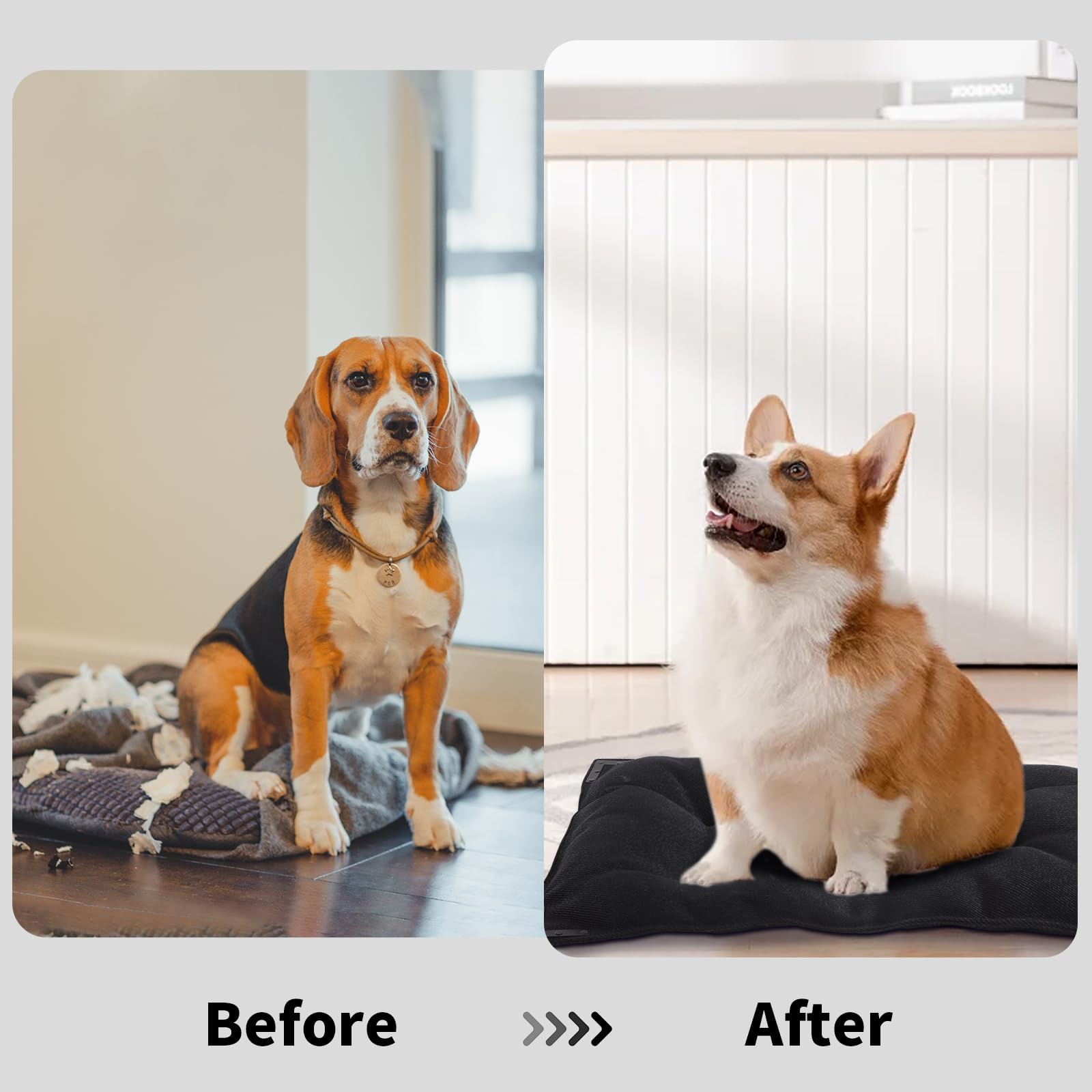 BALAPET cama lavable a máquina para limpieza rápida y sencilla.