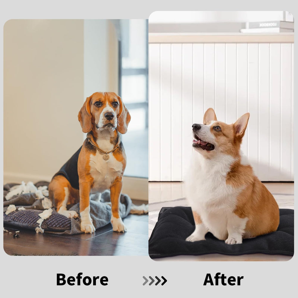 BALAPET cama lavable a máquina para limpieza rápida y sencilla.