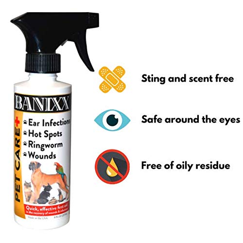 BANIXX apto para varias especies: caballos, perros y gatos.
