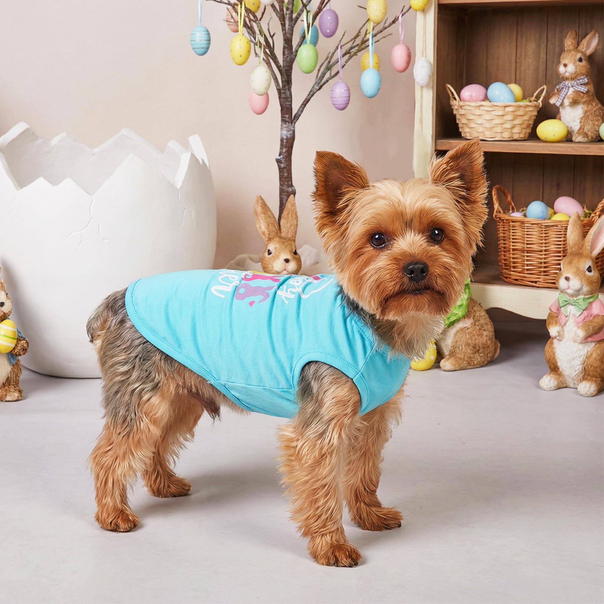 Baobicute Camiseta Pascua para Perro, tejido suave y transpirable para paseos.