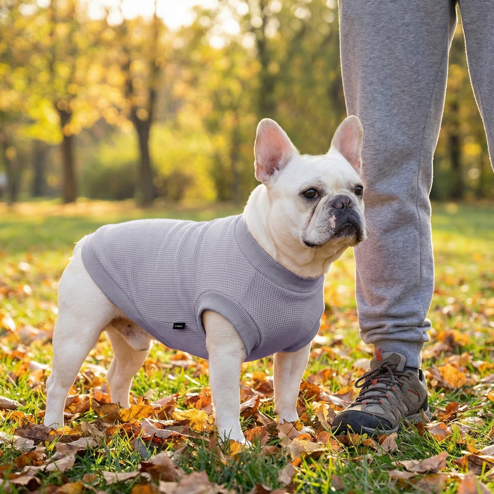 BAOBICUTE ropa mascota uso diario, diseño cómodo para perros y gatos