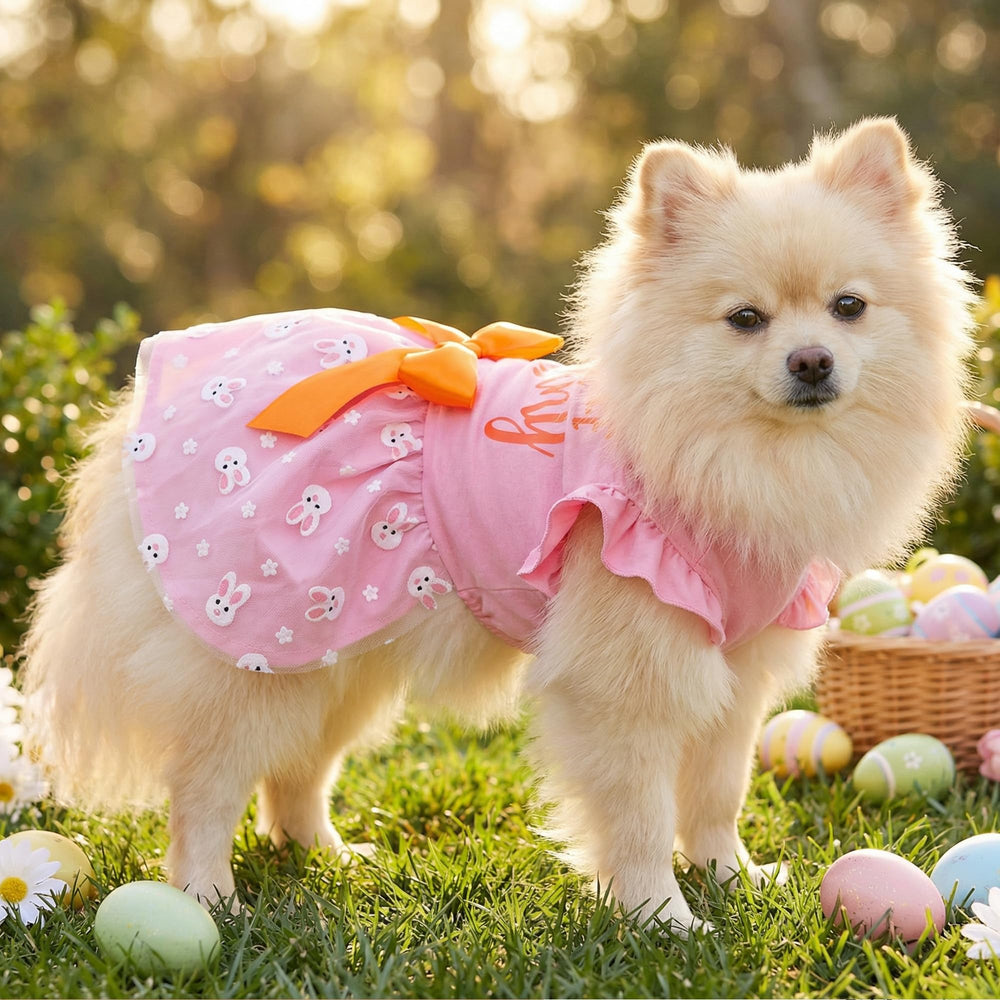 Baobicute vestido perro cintura elástica, cómodo para diferentes tallas.