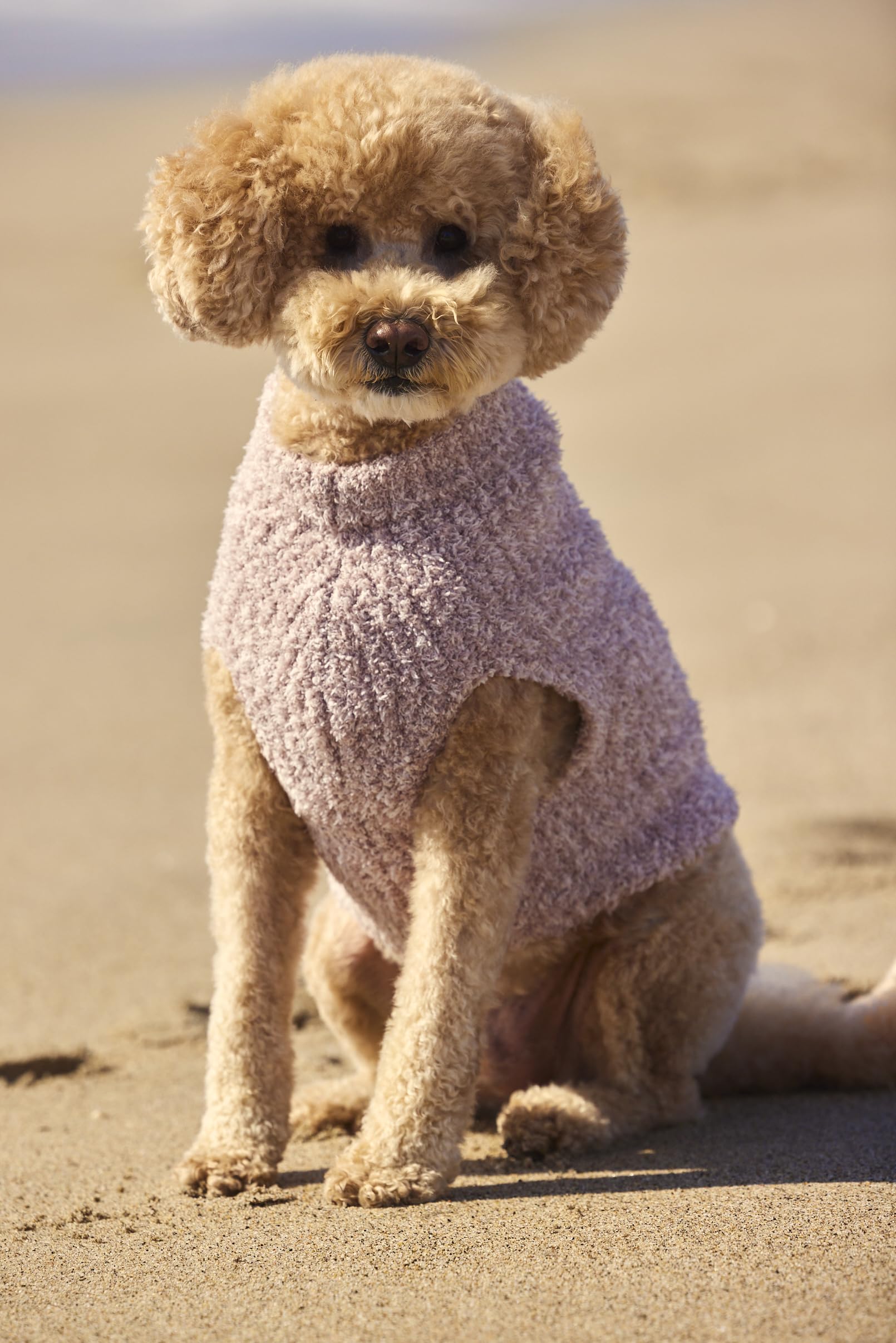 Abertura superior para correa en la sudadera para perro Barefoot Dreams Cozychic.