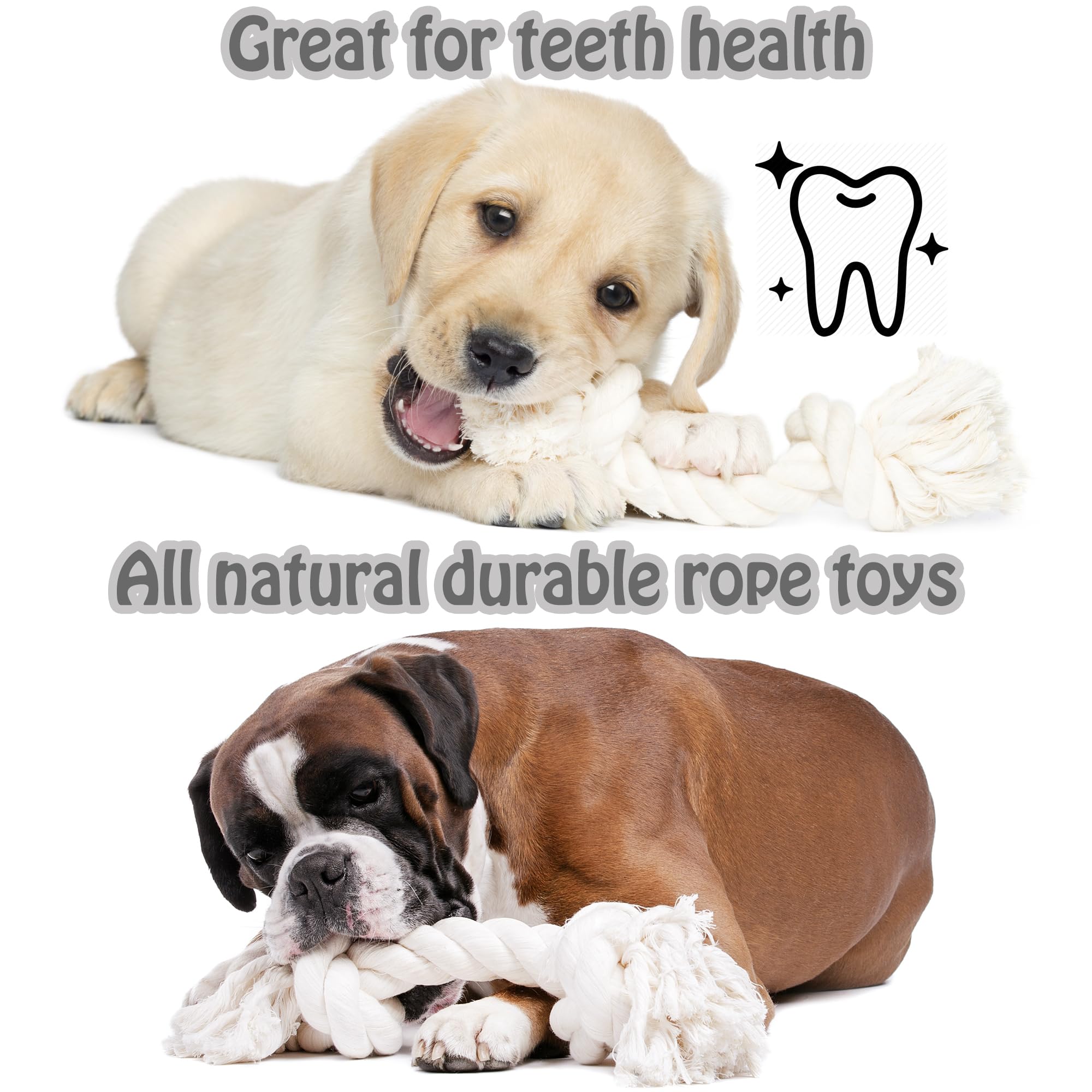 Barida cuerda para perro, lavable y fácil de limpiar para uso diario.