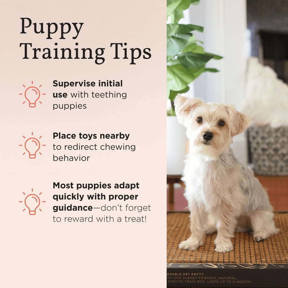 Bark Potty para apartamentos, solución práctica en casa