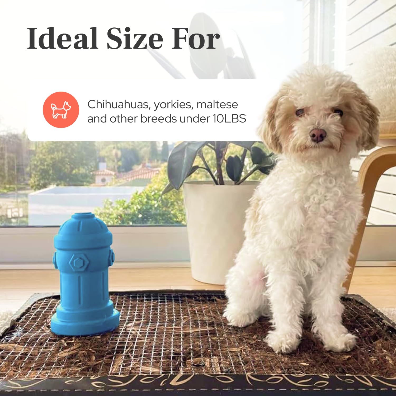 Bark Potty diseño específico para perros pequeños, mejora la seguridad.