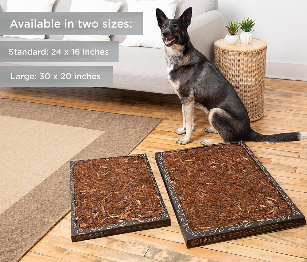 Bark Potty dos tamaños disponibles para perros pequeños y grandes.